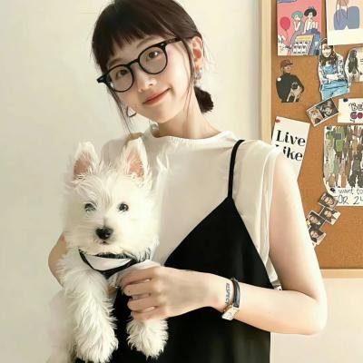 双城故事