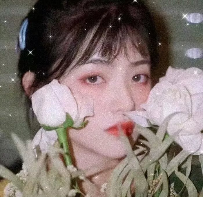 神捕十三娘